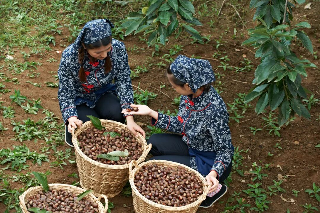 EZPAYǮ����(�й���) - �ٷ���վ